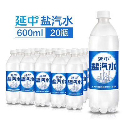 延中鹽汽水600ml*20瓶整箱 防暑降溫汽水